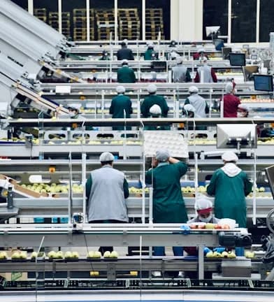 F&B, COSMETICS LICENSES